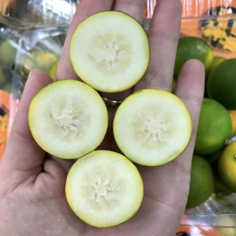 Kim quất Đài Loan 500gram - Trái cây Hoa Biển