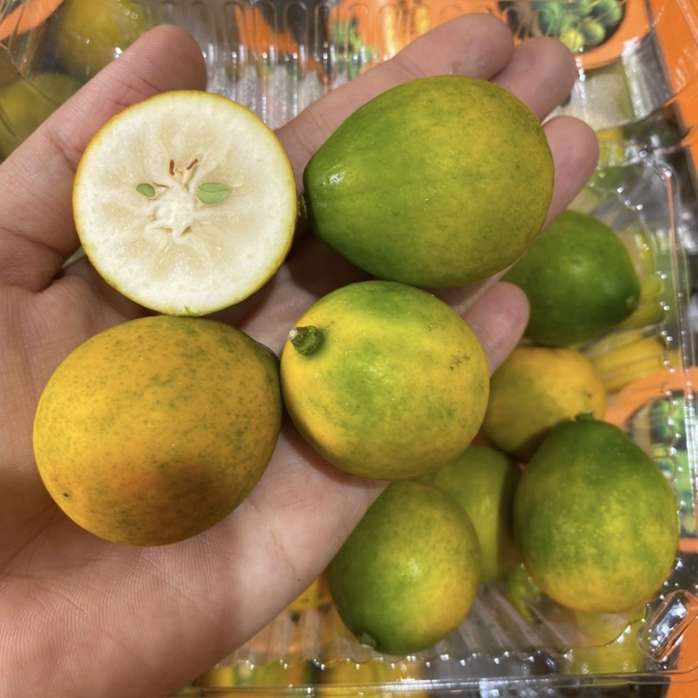 Kim quất Đài Loan 500gram - Trái cây Hoa Biển