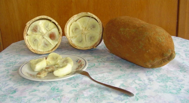 15 loại trái cây được bình chọn ngon nhất thế giới