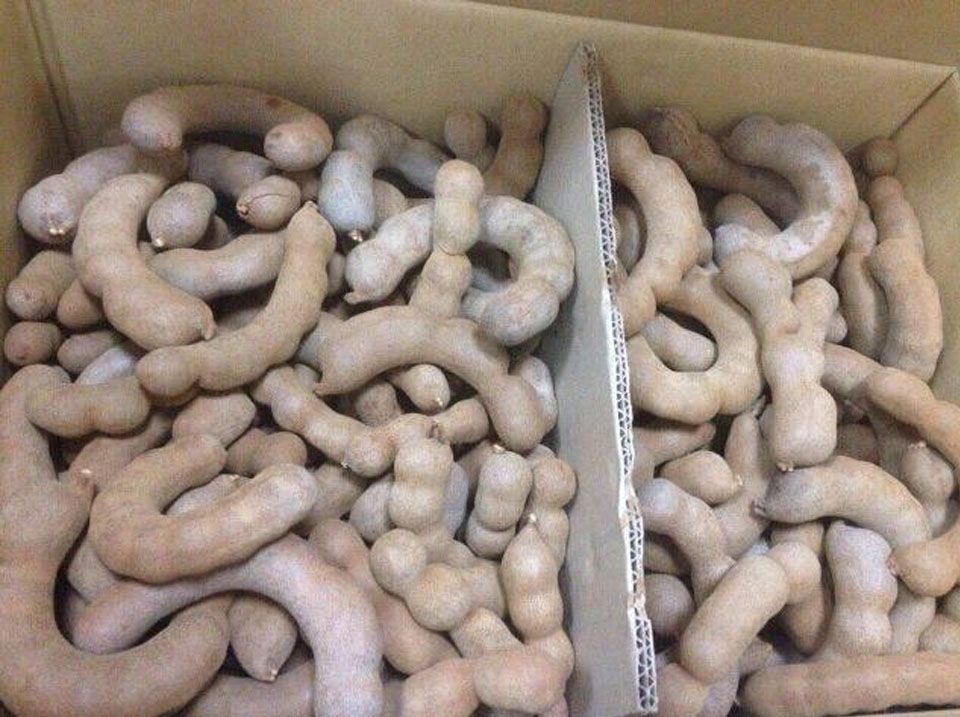 Me Thái Ngọt Nhập Khẩu - Bao Bao, Bao Bì