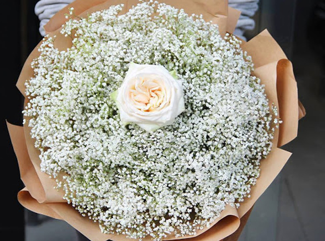 Bó hoa baby giá bao nhiêu? Xem ngay - Hoa Tươi Thanh Thảo