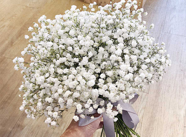 Bó hoa baby giá bao nhiêu? Xem ngay - Hoa Tươi Thanh Thảo