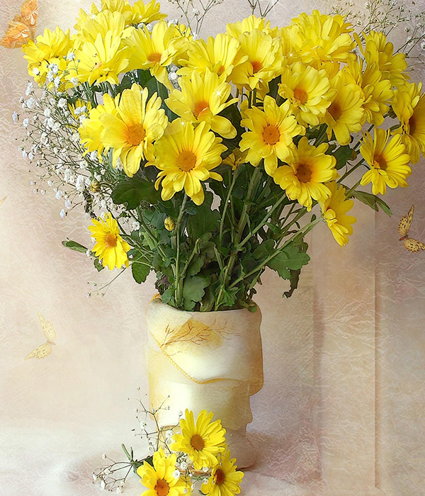 Hoa Cúc Vàng Có Ý Nghĩa Gì? 7 Ý Nghĩa Mọi Người Cần Biết