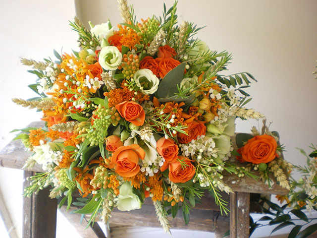 Nguồn Gốc Và Ý Nghĩa Của Hoa Mã Não Theo 7 Màu Sắc Khác Nhau