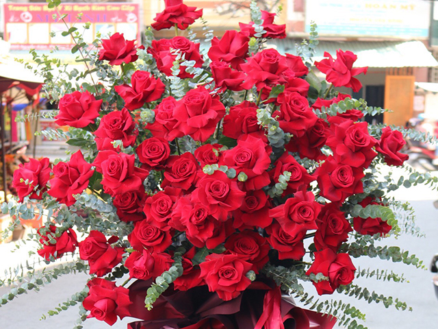 Nguồn Gốc Và Ý Nghĩa Của Hoa Mã Não Theo 7 Màu Sắc Khác Nhau