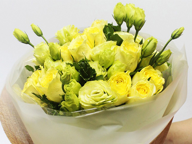 Nguồn Gốc Và Ý Nghĩa Của Hoa Mã Não Theo 7 Màu Sắc Khác Nhau