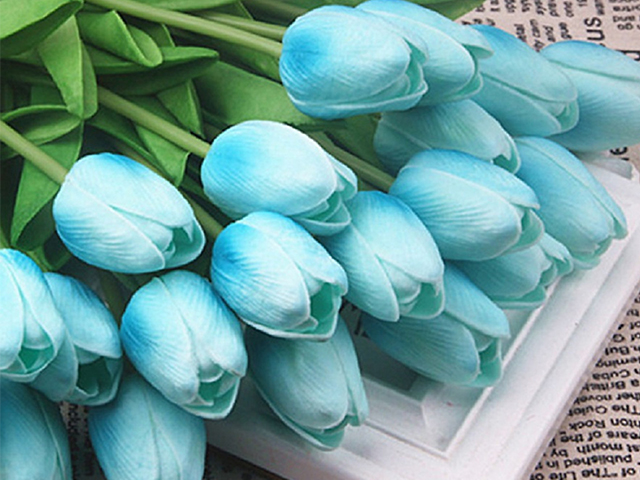 Nguồn Gốc Và Ý Nghĩa Của Hoa Tulip Theo 7 Màu