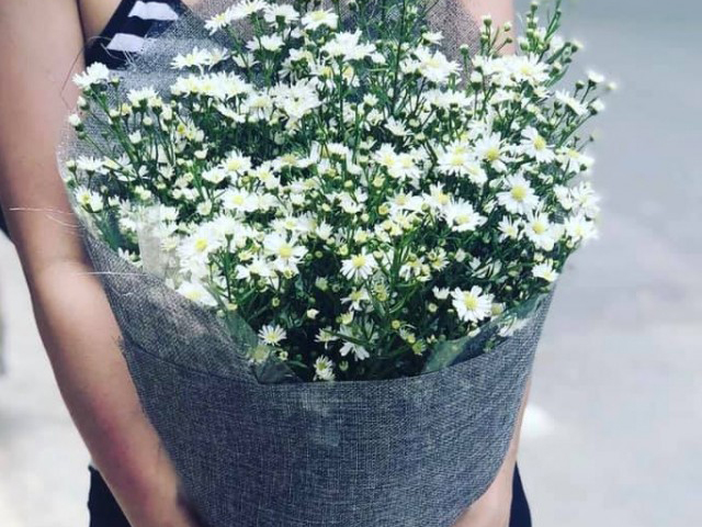 Ý Nghĩa Hoa Thạch Anh Không Phải Ai Cũng Biết