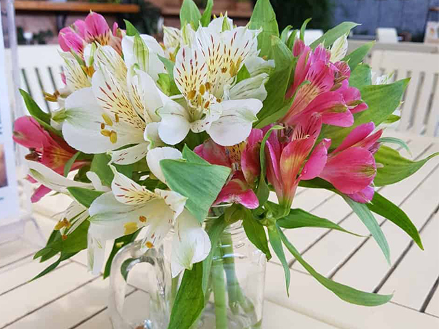 Ý nghĩa của hoa thủy tiên vàng - Tất cả về hoa thủy tiên vàng