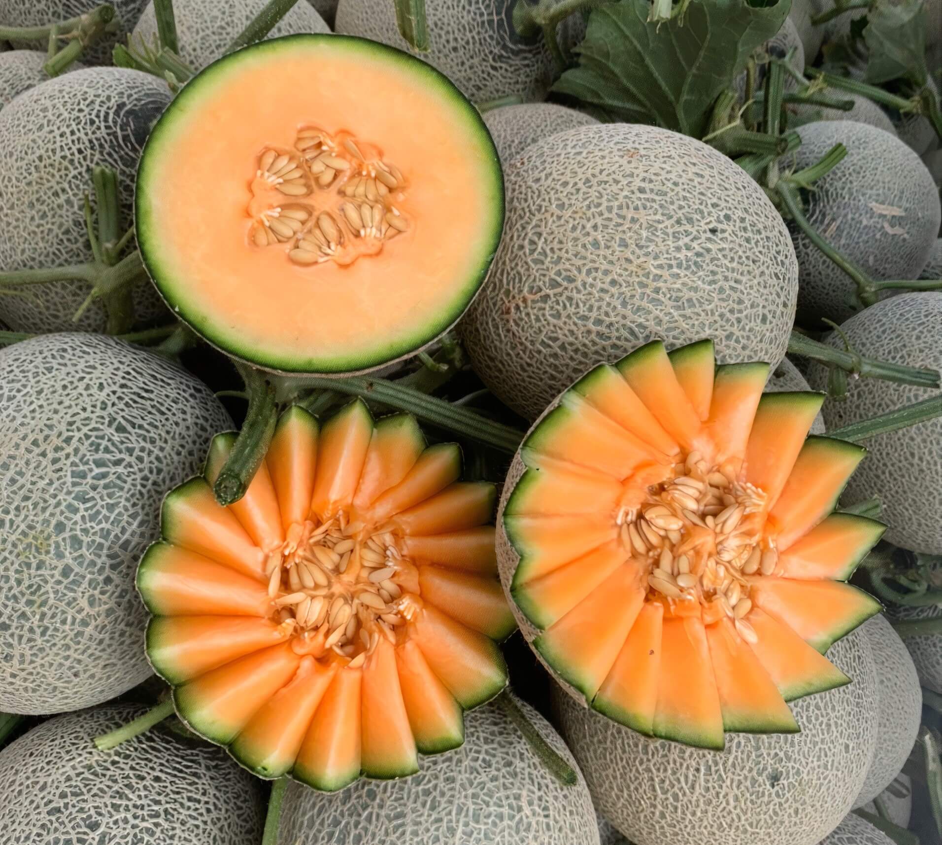 Dưa lưới TL3 VietGAP thương hiệu Vua Dưa Lưới