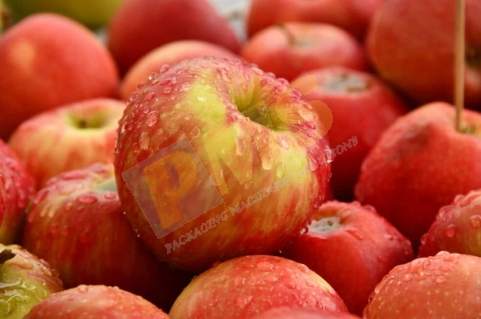 Công nghệ sản xuất trái cây sấy khô