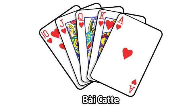 Cách Chơi Chiến Lược Mèo - Hướng Dẫn Từ Cơ Bản Đến Nâng Cao 1 Cách đánh bài catte chiến thuật - Hướng dẫn từ cơ bản đến nâng cao